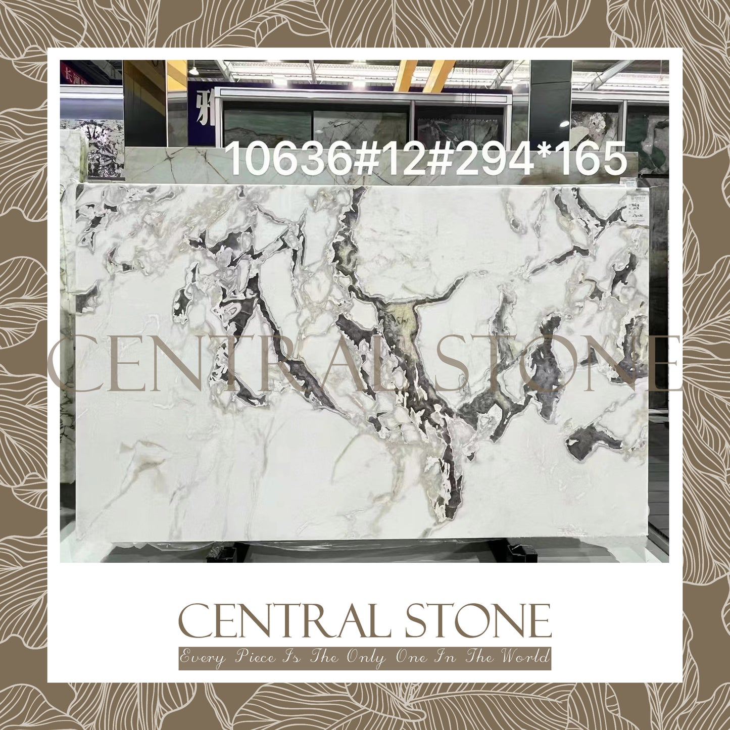 CENTRAL STONE Natural Marble From Italy Customization For Dining Coffee Side Table Feature Wall Real Marble - Oyster White